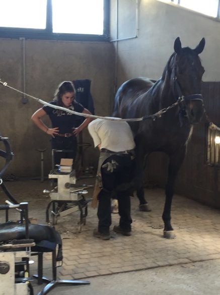 Visite de l’Ecole Nationale d’Equitation et du château de Montsoreau